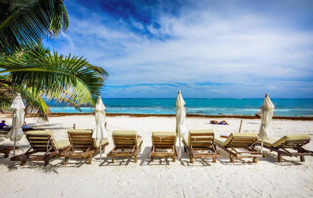 Paradise Villa In Tulum Beach エクステリア 写真